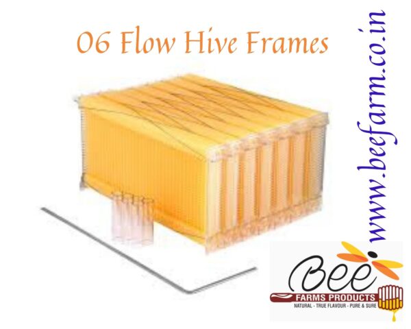 Flow Hive Frames