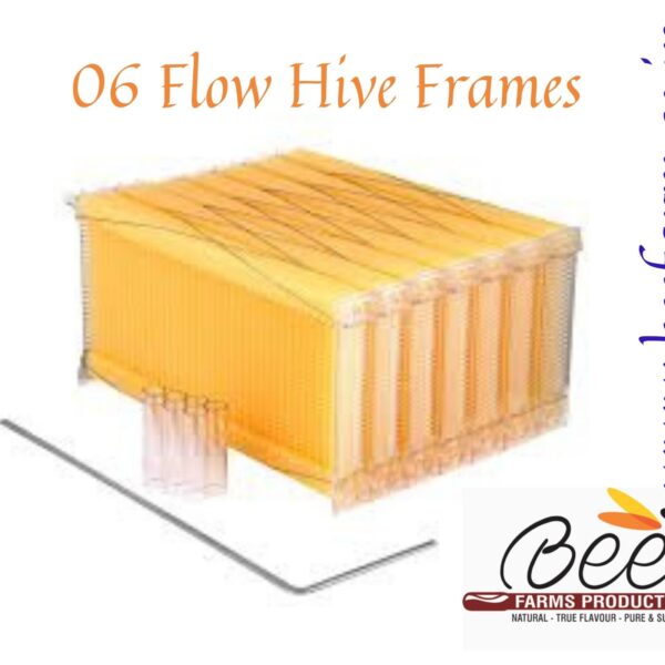 Flow Hive Frames