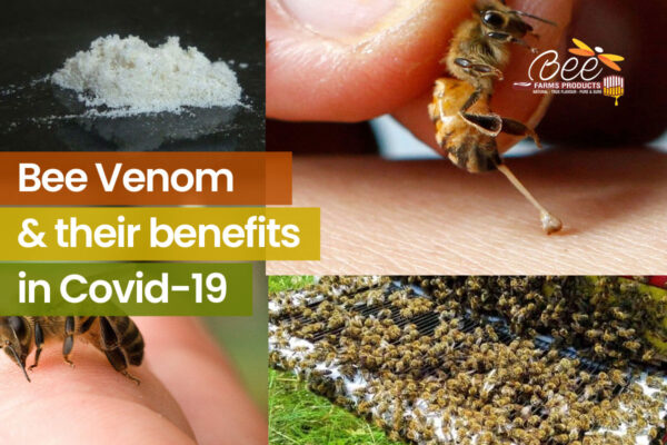 Bee Venom Powder